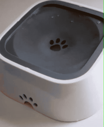 A slow feeder pet water bowl featuring a cute paw print design.