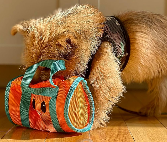 A dog sniffing inside an orange gym bag-shaped toy