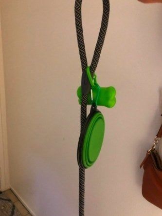 A green dog bowl, fully collapsed and conveniently attached to a leash for portability.