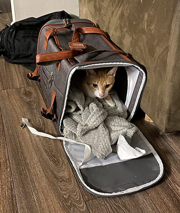 a photo from a reviewer showing a cat inside an open gray pet carrier