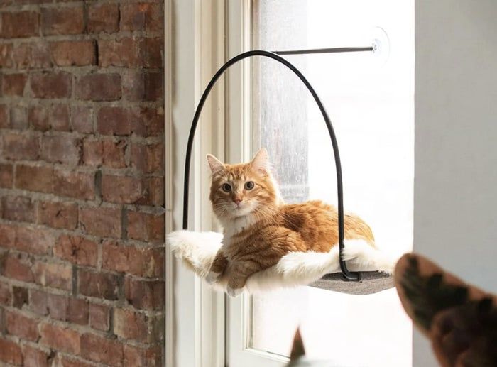 A ginger cat relaxing on a wall-mounted cat bed with a curved stand next to a rustic brick wall.