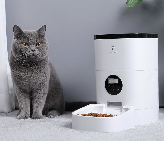 A cat sits beside a food dispenser meant for its meals.