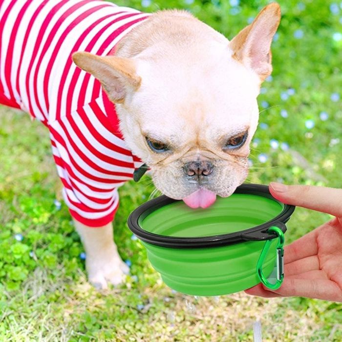 A dog is seen drinking water from a green-colored bowl.