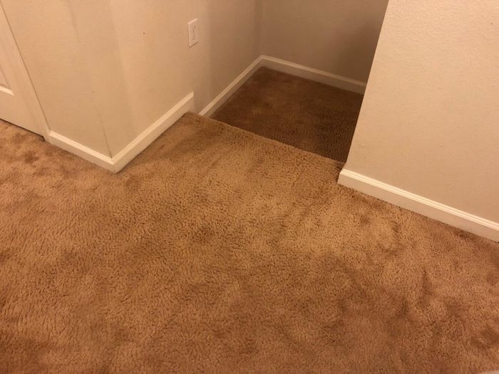 The carpet restored to a spotless condition