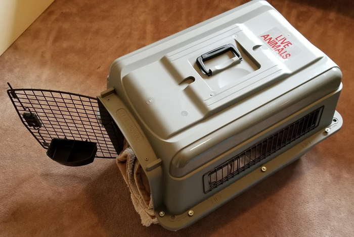 A portable pet carrier with its door open, placed on a carpeted floor
