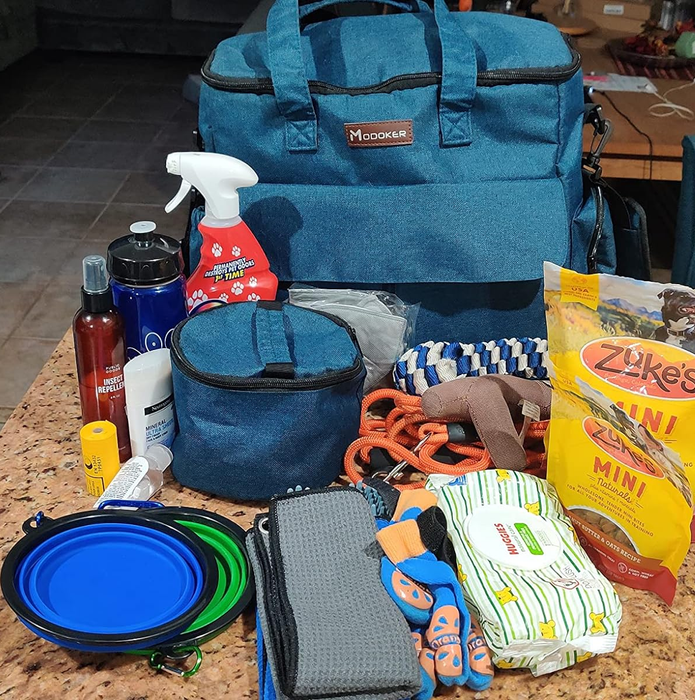 An assortment of dog accessories such as a travel bag, leash, toys, and grooming tools arranged on a countertop in front of a stylish bag