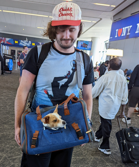 a reviewer carrying the pet carrier with a crossbody strap, while a small dog peeks out from the front zippered window of the carrier