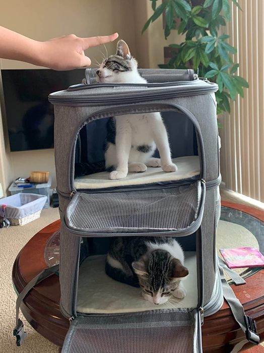 a cat comfortably resting on each level of a dual-compartment pet carrier