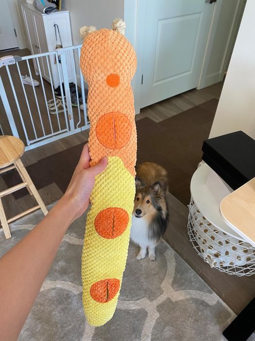 A hand holding a textured caterpillar-like dog toy, with a Shetland Sheepdog observing in the background indoors