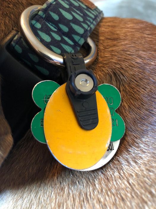 The same reviewer's photo showing the back of the tag holder.