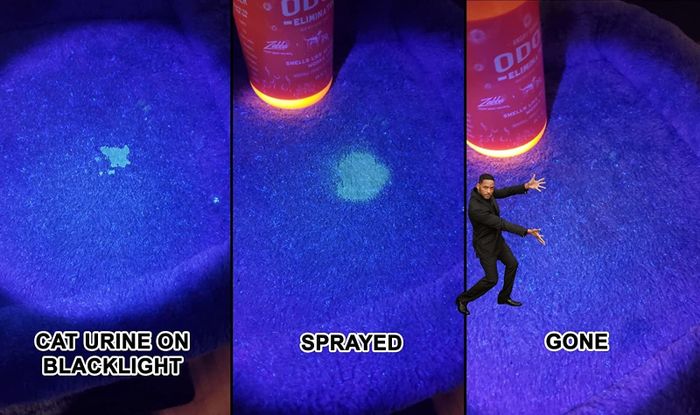 A reviewer's before-and-after photo showing cat urine glowing on a carpet under a blacklight, followed by the stain disappearing after using the cleaner