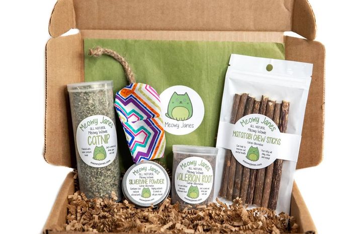 A collection of catnip substitutes featuring valerian, silvervine powder, matatabi sticks, organically grown catnip, and a reusable toy.