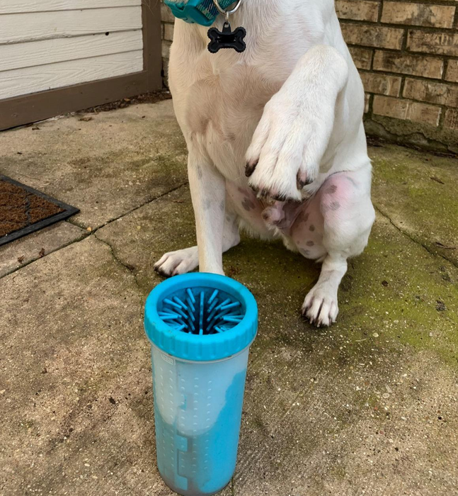 A reviewer's dog sitting next to the paw cleaner.