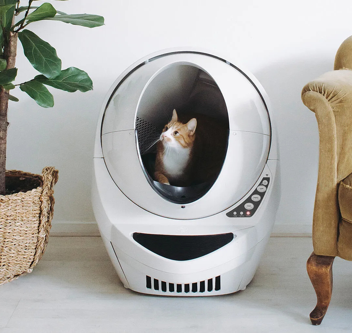 A cat comfortably sitting inside a white Litter Robot