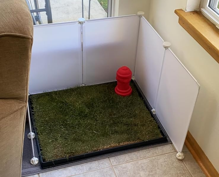 A reviewer's photo of the splash guard set up around a doggie lawn.