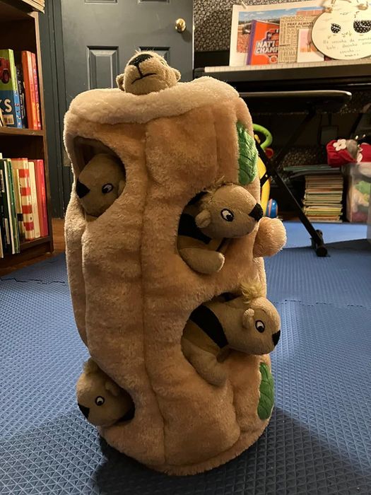 photo of the toy taken by a reviewer