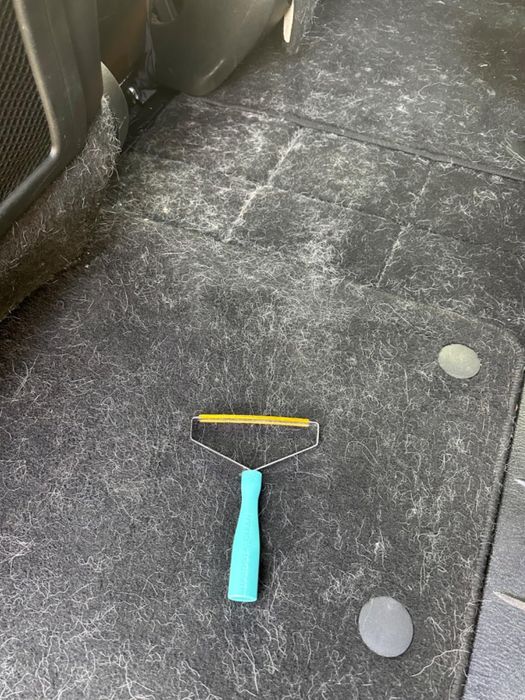 A car floor completely covered in pet hair
