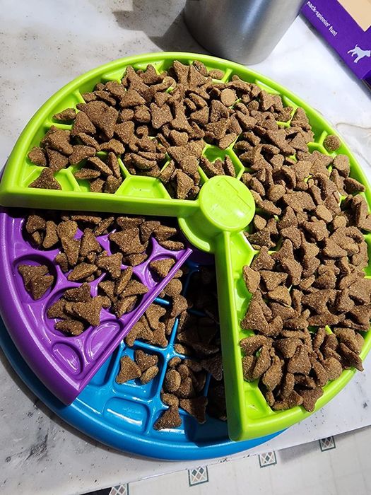 A multi-layer slow feeder puzzle toy with kibble scattered across its levels