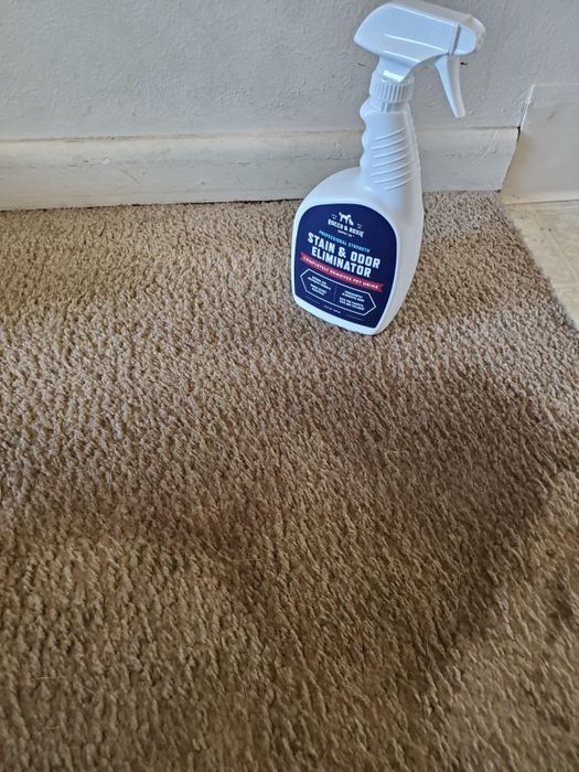Carpet with visible stains before applying the stain remover