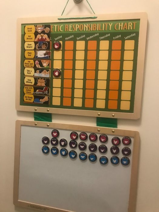 A photo from the reviewer showing the reward chart displayed on a wall