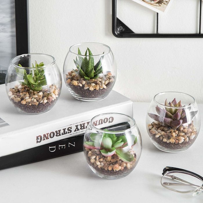 Four artificial succulents displayed in transparent spherical planters