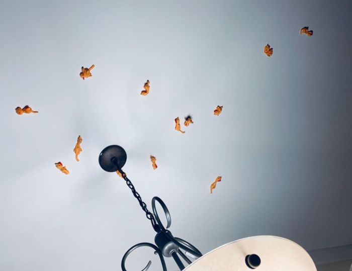 slingshot chickens clinging to a reviewer's ceiling