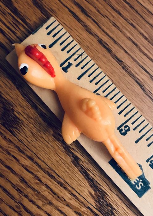 a reviewer's slingshot chicken toy