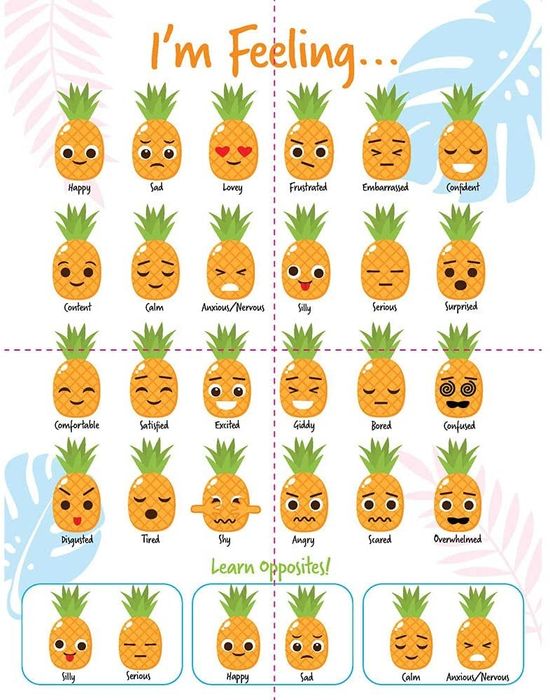 An illustrated chart displaying the different faces and emotions of the pineapple toy.