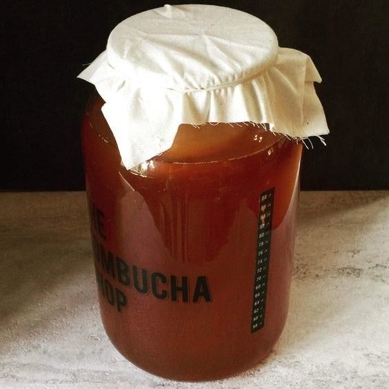 a photo of a reviewer’s homemade kombucha brewing in a large jar covered with fabric