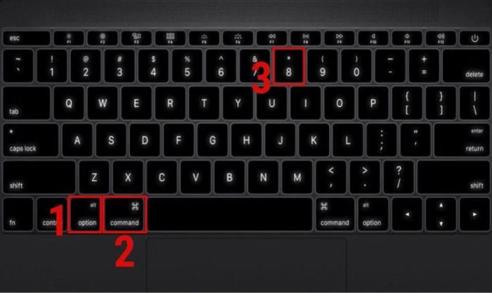 Hướng dẫn phóng to màn hình trên MacBook