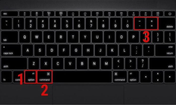 Sử dụng tổ hợp phím Option + Command + Dấu