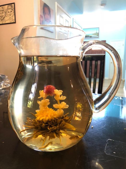 glass carafe containing tea and a blooming flower