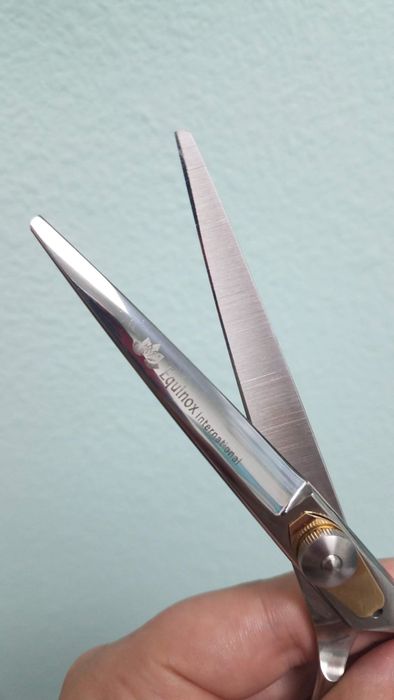 a close-up view of the sharp, sleek blades