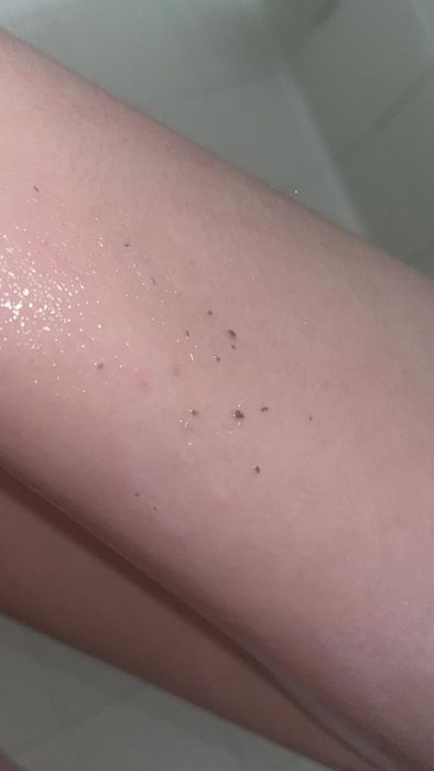 the sebum extracted from the reviewer's pores