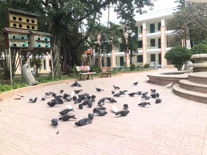 Xuân Đỉnh High School image 2