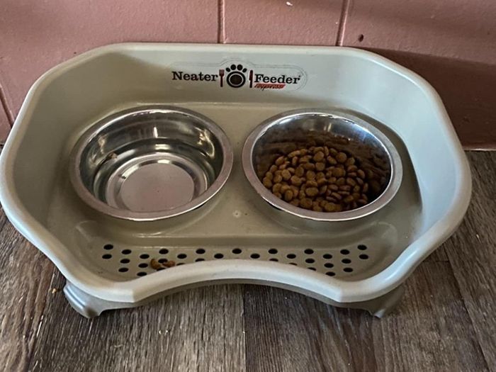 A reviewer's snapshot of the bowl, featuring water in one section and kibble in the other.