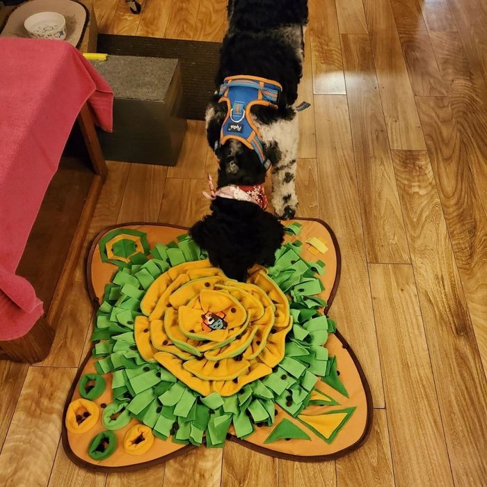 a photo of a dog using its nose to search for a toy hidden in the mat