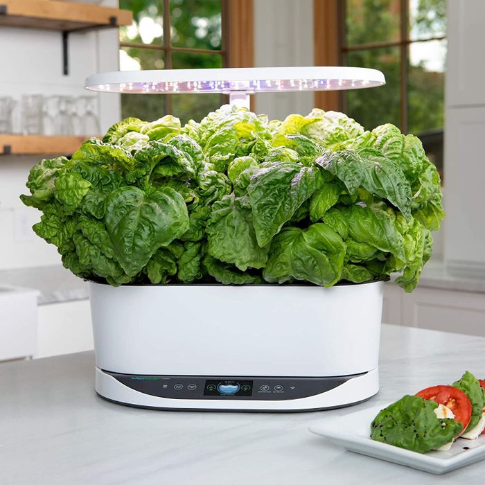 AeroGarden Bounty model in white, showcasing its sleek and modern design.