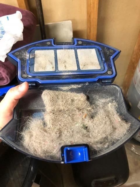 A reviewer’s photo showing the inside of the dustbin after using the robotic vacuum