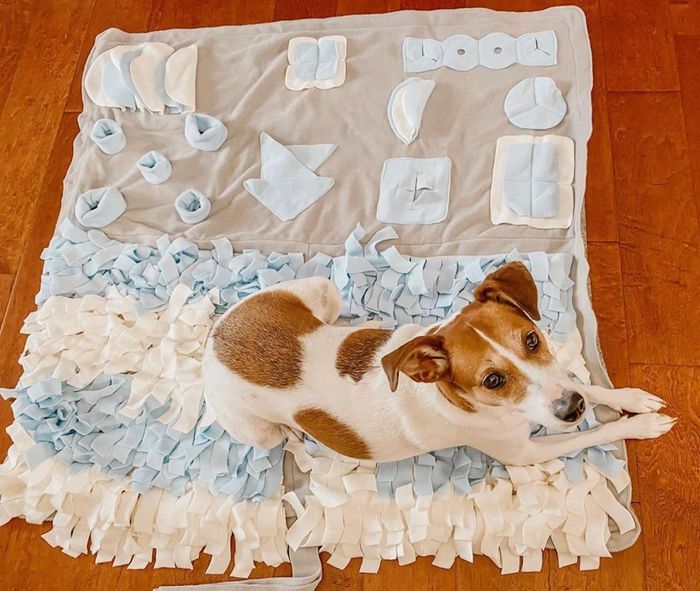 A reviewer's dog resting on the mat, showing off the ruffles and other concealed pockets.