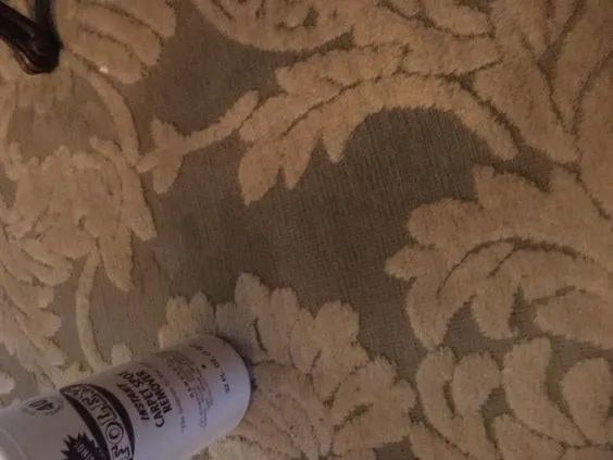 The identical carpet now spotless, accompanied by the stain remover bottle