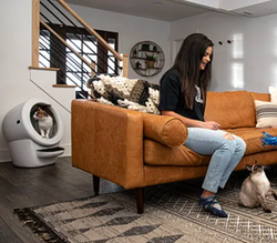 A model lounging on a couch, with the Litter-Robot behind her and a cat inside it.
