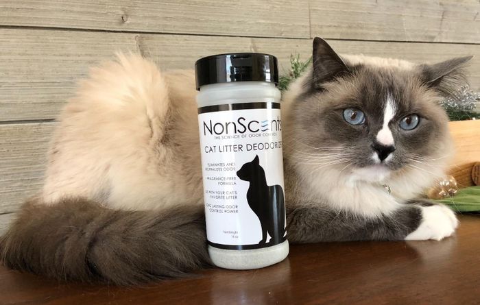 A reviewer's cat sitting next to the litter box deodorizer, with the product clearly visible.