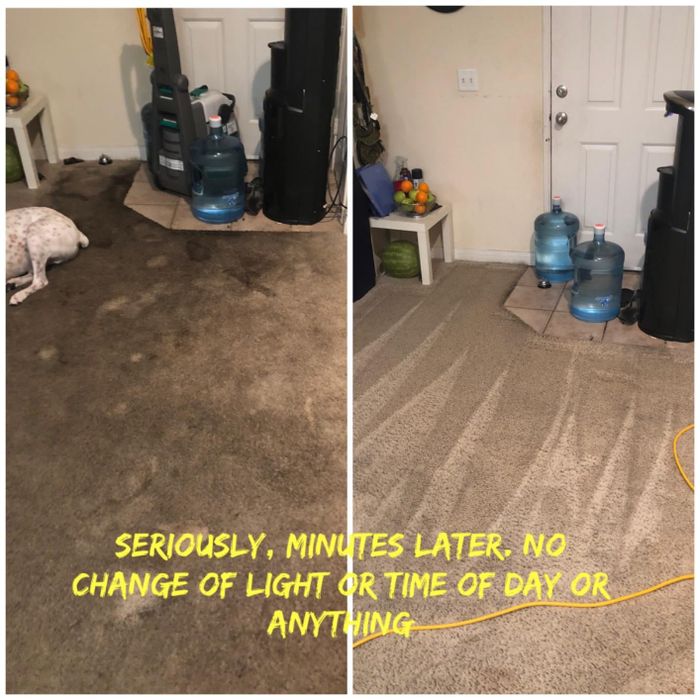 A reviewer shows before-and-after pictures of a dirty carpet on the left and a pristine carpet on the right—taken only a few minutes apart.