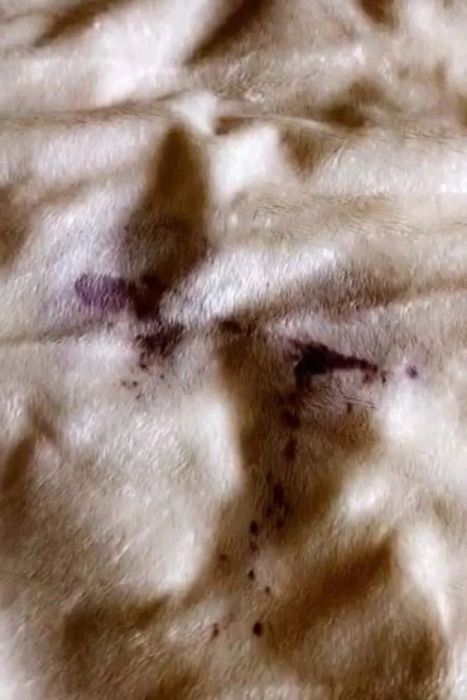 A white fluffy blanket stained with red wine