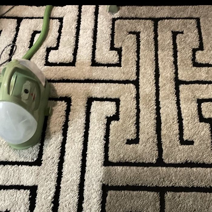 A reviewer showing their rug, with one side cleaned using the machine and the other still covered in dirt.