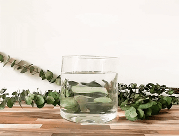 A model dropping an eucalyptus toilet fizzy into a glass of water