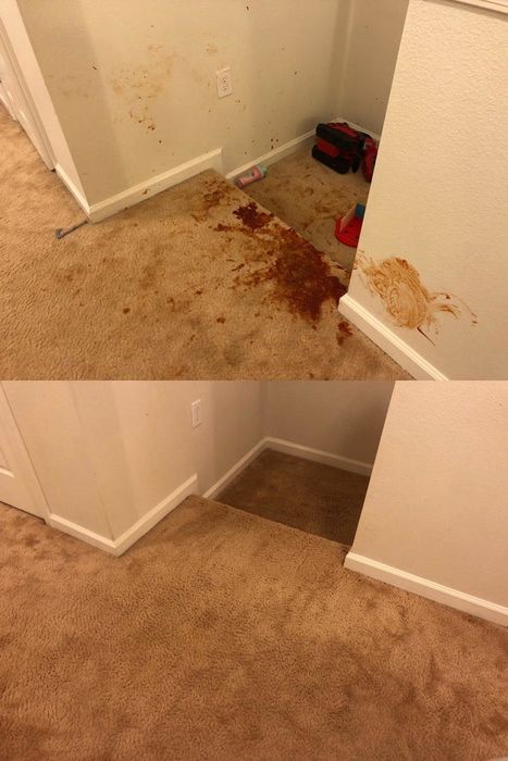 A photo showcasing red food stains completely removed from both carpet and walls