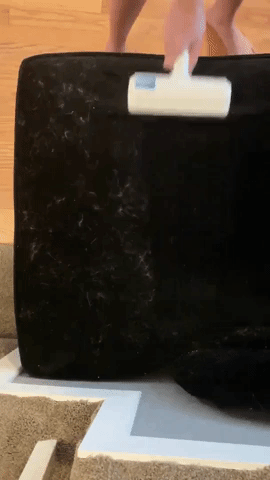 A reviewer using the ChomChom roller to remove pet hair from black fabric