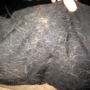 a blanket covered in pet fur